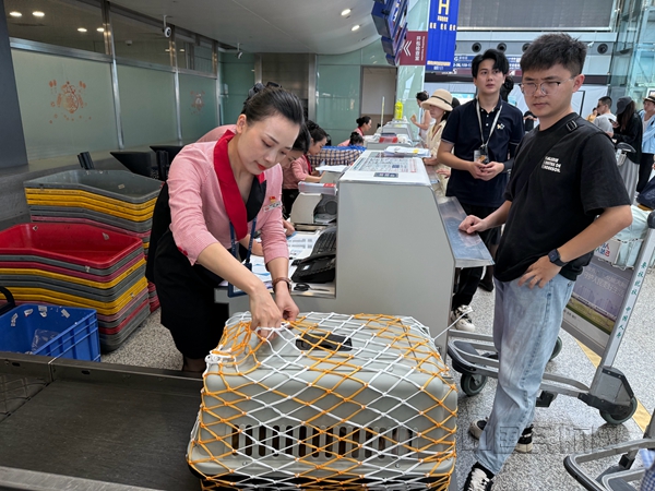 什么宠物托运公司好