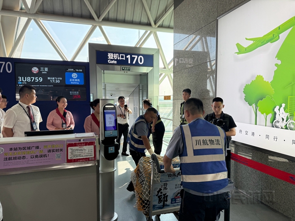 什么宠物托运公司好
