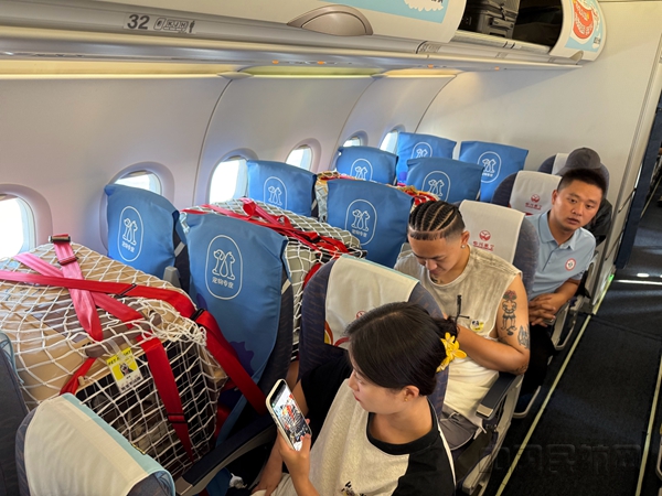 什么宠物托运公司好