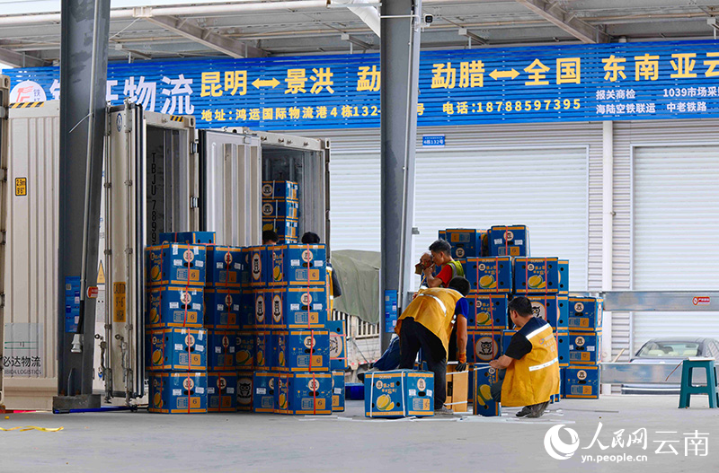 “铁路场站 综合园区”，“站外站”里物流忙