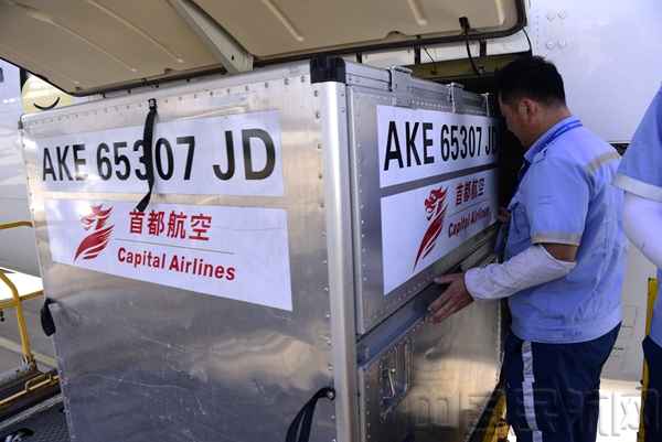 空运海鲜价格表