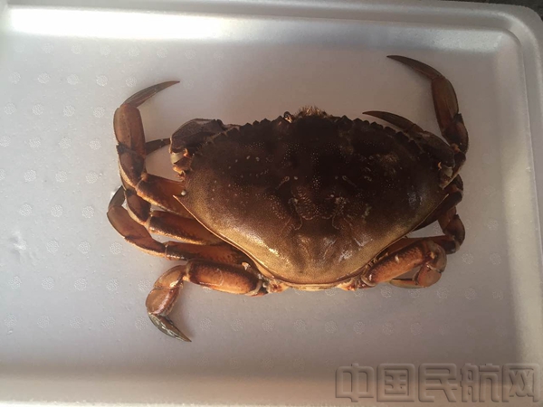 空运海鲜价格表