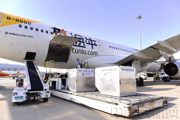 空运海鲜价格表