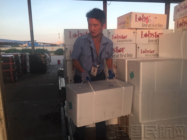 空运海鲜价格表