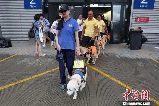宠物托运一般多少钱啊